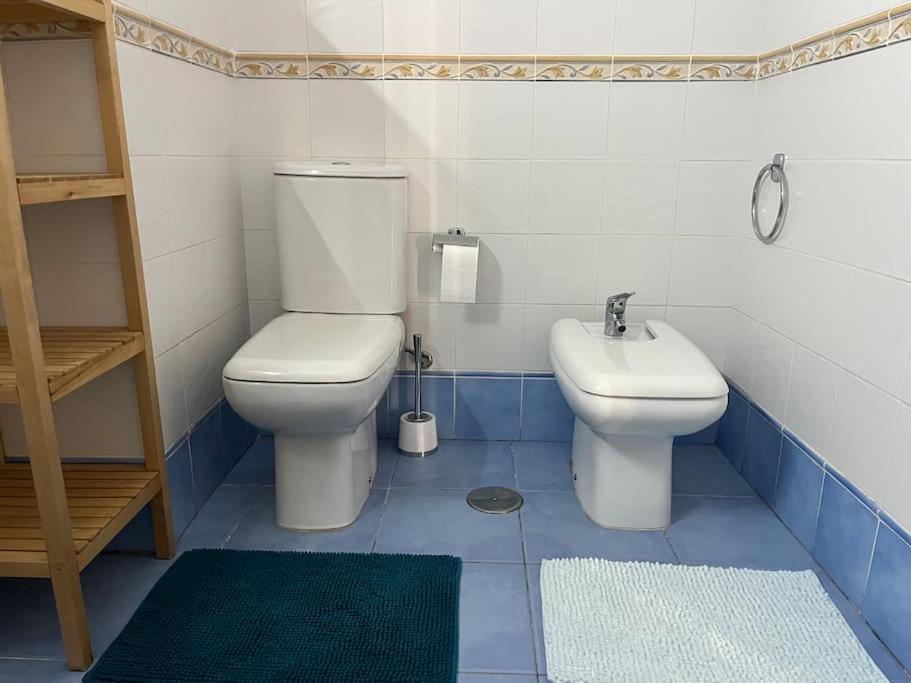 Apartamento Sun And Sea Vacation In The Heart Of Playa Paraiso