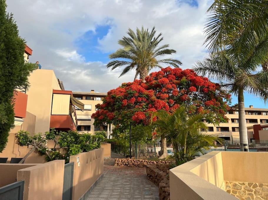 Sun And Sea Vacation In The Heart Of Playa Paraiso * Costa Adeje (Tenerife)